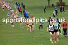 Senior Women, 2024 CAU Inter Counties Cross Country Champs., Wollaton Park, Nottingham. Photo: David T. Hewitson/Sports for All Pics